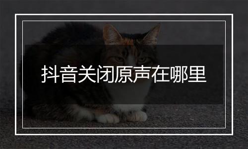 抖音关闭原声在哪里