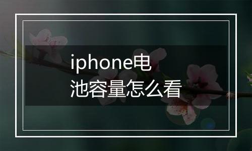 iphone电池容量怎么看