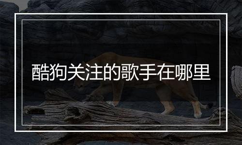 酷狗关注的歌手在哪里