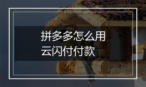 拼多多怎么用云闪付付款
