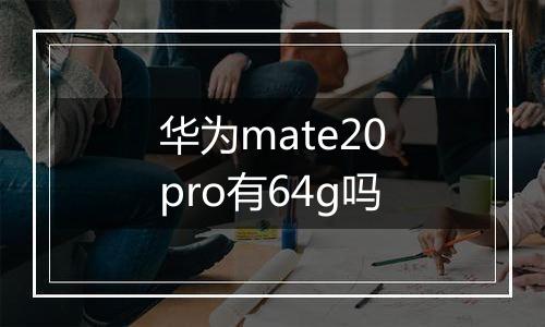华为mate20pro有64g吗