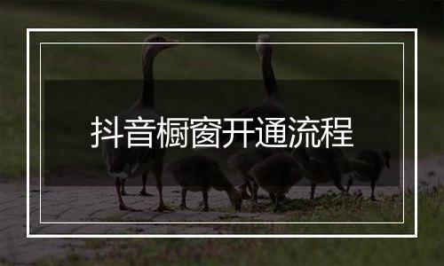 抖音橱窗开通流程