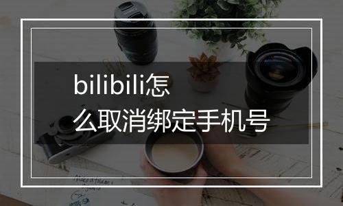 bilibili怎么取消绑定手机号