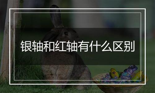 银轴和红轴有什么区别