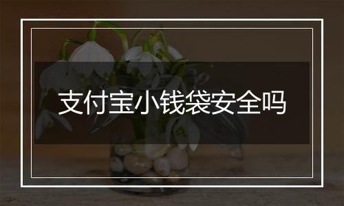 支付宝小钱袋安全吗