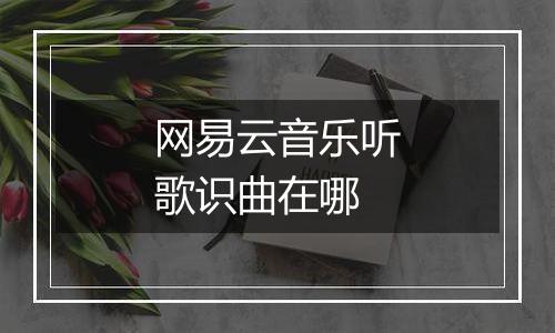 网易云音乐听歌识曲在哪