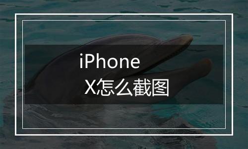 iPhone  X怎么截图