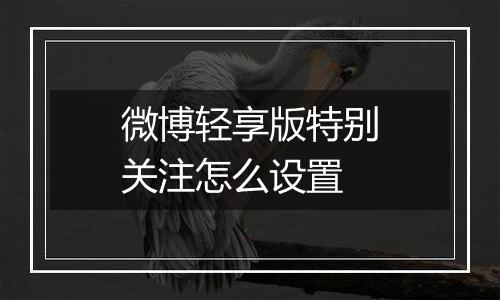 微博轻享版特别关注怎么设置