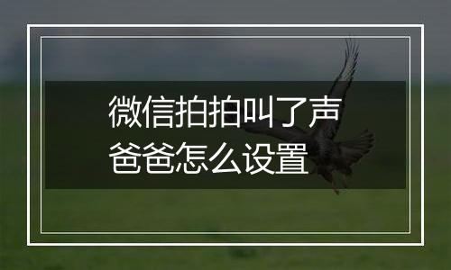 微信拍拍叫了声爸爸怎么设置