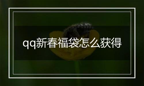 qq新春福袋怎么获得