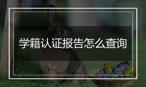 学籍认证报告怎么查询
