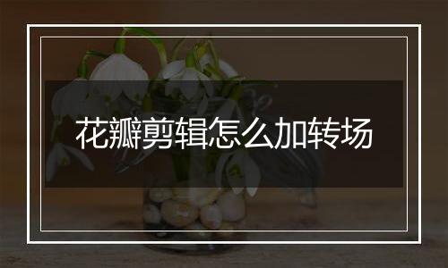 花瓣剪辑怎么加转场