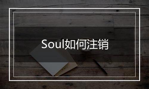 Soul如何注销