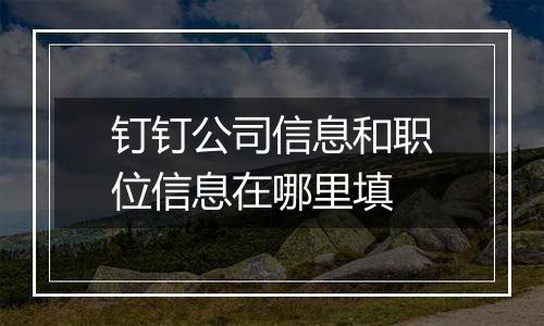 钉钉公司信息和职位信息在哪里填