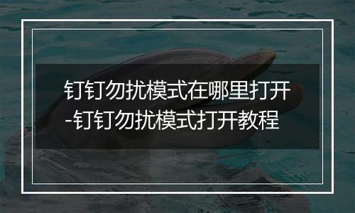 钉钉勿扰模式在哪里打开-钉钉勿扰模式打开教程