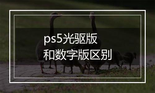 ps5光驱版和数字版区别