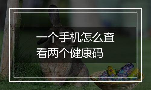 一个手机怎么查看两个健康码