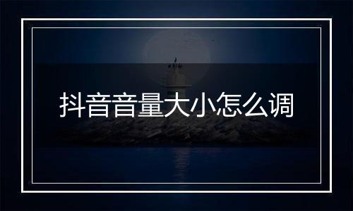 抖音音量大小怎么调