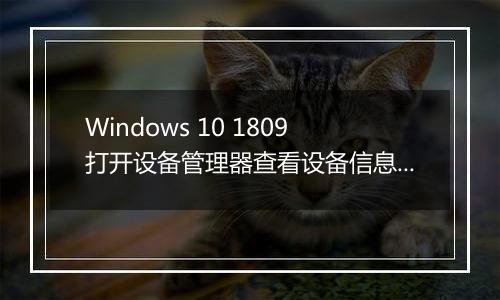 Windows 10 1809打开设备管理器查看设备信息就死机/重启怎么办？