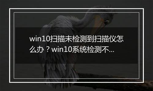 win10扫描未检测到扫描仪怎么办？win10系统检测不到扫描仪的解决方法