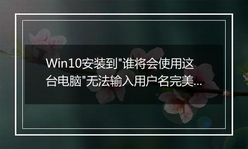 Win10安装到