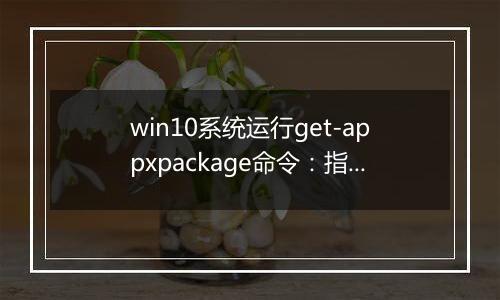 win10系统运行get-appxpackage命令：指定的服务未安装 该怎么办？