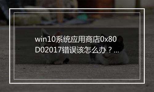 win10系统应用商店0x80D02017错误该怎么办？（已解决）